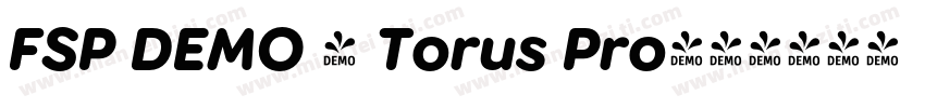 FSP DEMO - Torus Pro字体转换